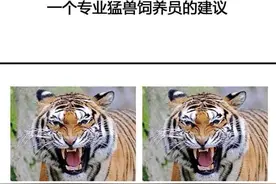 遇到老虎或猛兽该怎么办？一个专业饲养员的建议！图片