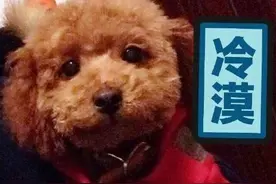TFboys王源这么可爱，他家狗狗更可爱！图片