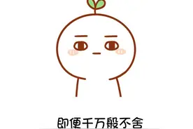 即便千万般不舍，这辈子也只能陪你到这里图片