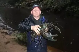 外国人都不吃小龙虾？真相竟然是图片