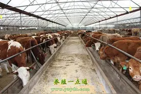 牛场日常管理制度图片