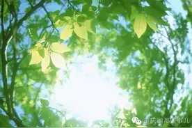 来自光与影的夏日狂想曲图片