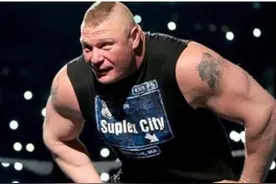 WWE不惩罚布洛克·莱斯纳，引数选手不满！图片