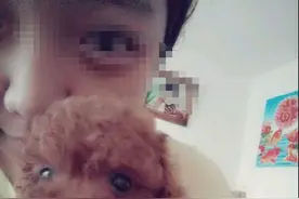 主人误喂小狗火腿肠，小狗惨被活活噎死图片