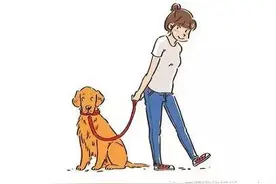 你真的会遛狗吗？图片