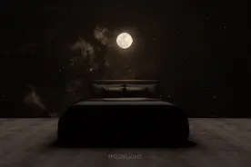 月光 MOONLIGHT图片
