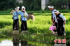布依族传统音乐演奏：口传心授中的“民族记忆”图片