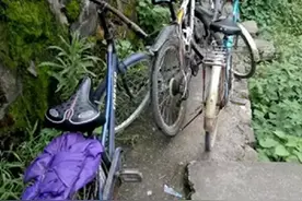 都注意啦！这些熊孩子跑柳市山上游泳，还爬树跳水...图片