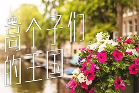 高个子必看 | 去荷兰做个幸福的高个子！图片