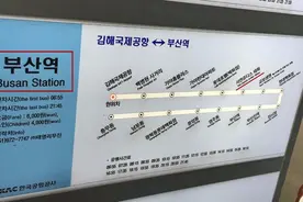 벚꽃@한국 韩国樱花之行汇总贴（首尔、釜山、镇海整理中）图片