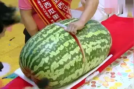 这是中国最大的西瓜，汪涵让师傅切开后，地下观众全部惊呆了视频封面