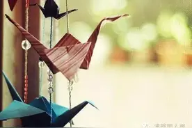 我懂你的不容易，而你亦懂得欣赏我的好图片