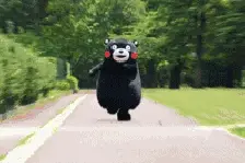 珠三角4年内15条轻轨条条通，广州人去哪儿都更方便了！图片