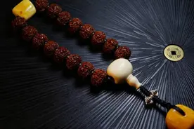 文玩 | 金刚菩提的盘玩、真假鉴别和挑选视频封面