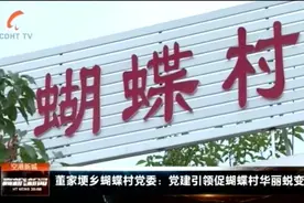 高新东区董家埂乡蝴蝶村的华丽蜕变视频封面