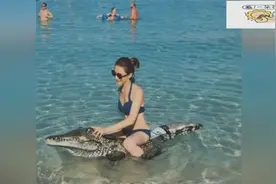 陈赫前妻许婧开启暑期度假模式，身穿比基尼骑鳄鱼胆量惊人！佩服视频封面