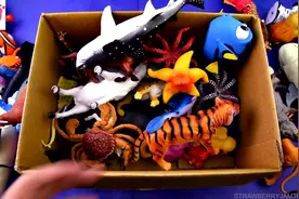 幼儿益智玩具：玩各种海陆动物模型 一起学习它们的名称吧视频封面
