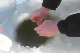 冰钓一条大鱼，在场的朋友都好开心图片