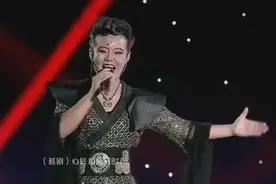 戏曲版忐忑 龚琳娜演唱图片