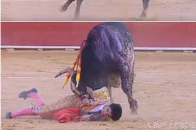 30年来首次 西班牙斗牛士被当场刺死图片