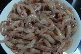 启东美食“炝红芒子虾”你会吗？图片