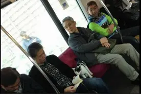 电车上巧遇迷路小猫，有爱乘客帮猫咪找回家图片