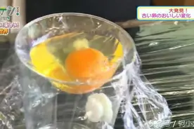 神奇实验：日本高中生不用蛋壳也能成功孵出小鸡！图片