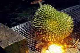有没有烤着吃过榴莲？更香更浓郁！图片