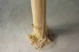 农村那些年逮鱼的老技能，知道的人已经不多了图片