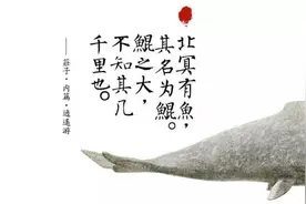《大鱼海棠》，他们都说等了你12年，却忘了自己为何走进影院图片