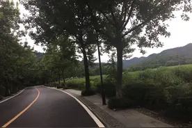 32岁胖子沉溺烟酒应酬，每天做一件事找回失控的人生！图片