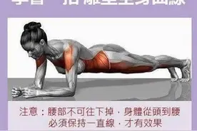 平板支撑（plank）可以有效的锻炼腹横肌图片