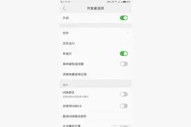 手机中的开发者选项 你都会玩吗？图片