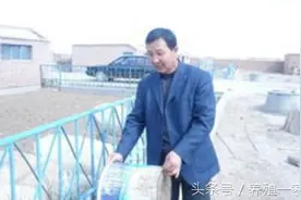 2016-07-11整羊（白条羊）批发价格行情图片