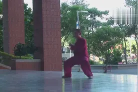 陈式太极拳结合发劲训练顶上功夫图片