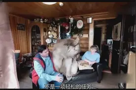奇葩夫妻把一只熊大当成宠物，23年来如同家人幸福生活视频封面
