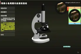 生物显微镜实验视频教程视频封面