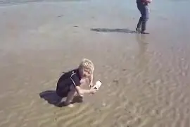 小男孩往海滩上的孔洞中倒入晶钠碱，洞内的生物主动钻了出来图片