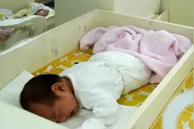 新生儿的宝宝都在一个保育室，好几个宝宝哭了，也没有人管！视频封面
