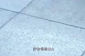 婚礼上新娘等来的不是戒指，而是手铐，新娘崩溃质问丈夫为什么视频封面