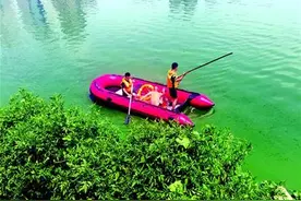 大鱼拖走鱼竿 男子跳湖追“竿”图片