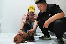 河南90后“爱心姐妹”收养流浪猫狗 每年花费数万元不愿放弃图片