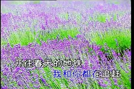 聆听经典--羽·泉：开往春天的地铁图片