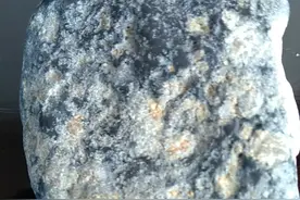海里发现稀有陨石视频封面