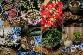 图虫静物摄影：山神和药材之传图片