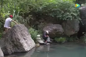 村门口的龙潭，2米深的小水塘，撒下一网坐等明天收网视频封面