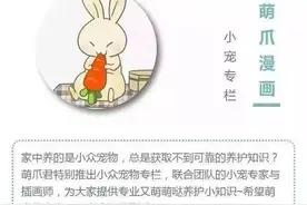 兔兔吃饱了，然后呢？当然是爱的供养啦！图片