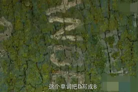 怒江之战美国人在树上刻的蒲公英字母是什么意思图片