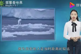 不可思议！南极30米高人类？形体很像鱼，网友：到底是什么生物？视频封面