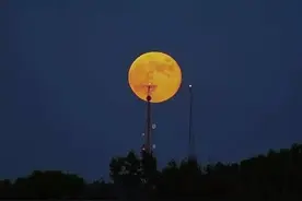 保险朋友图片